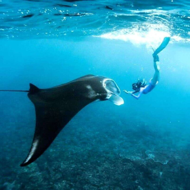 bali-nusa-penida-manta-snorkeling-tour-beach-club-access