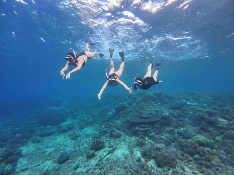 bali-nusa-penida-snorkeling-and-west-coast-full-package