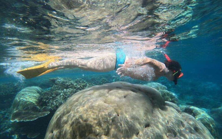 bali-nusa-penida-snorkeling-and-west-coast-full-package