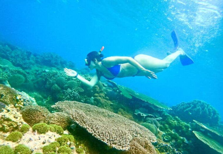 bali-nusa-penida-snorkeling-and-west-coast-full-package
