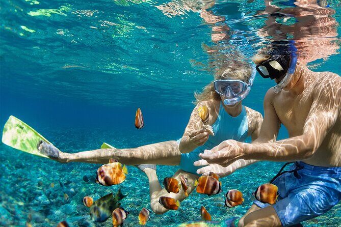 Bali Nusa Penida Snorkeling Tour West - Discovering the Underwater World of Nusa Penida