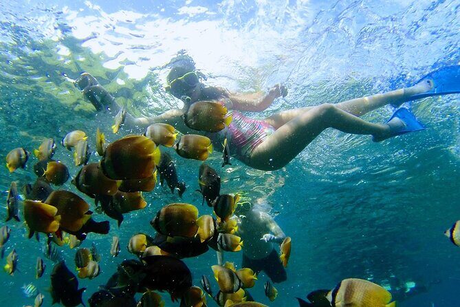Bali Nusa Penida Snorkeling Tour West - Practical Tips for Travelers