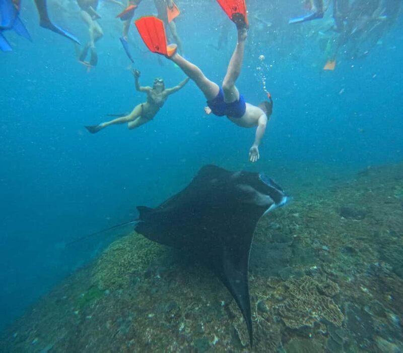 Bali: Nusa Penida Tour with Lunch & Manta Point Snorkeling - The Value of the Experience