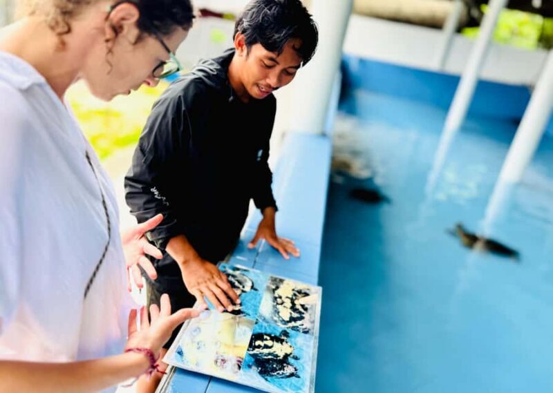 Bali: Nusa Penida: Turtle Conservation, Massive Cave Temple - Key Points