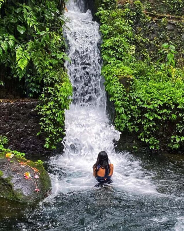 Bali : Offering Class, Purification Ritual & Rice Terraces - The Melukat Ritual at a Sacred Water Temple