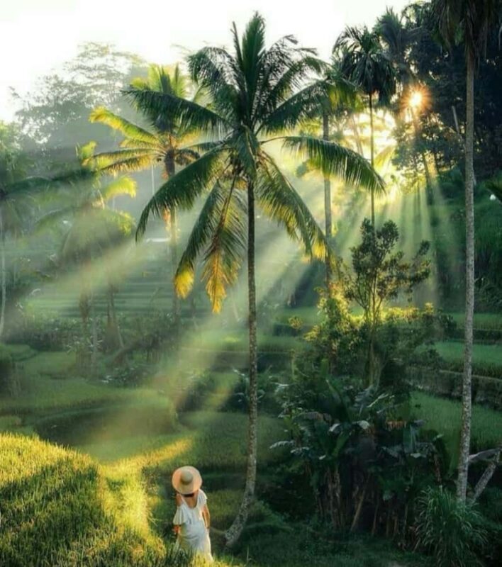 Bali : Offering Class, Purification Ritual & Rice Terraces - Practical Details and Value