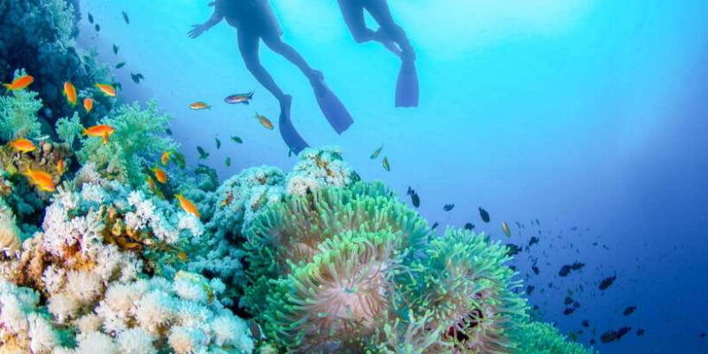 bali-padangbai-blue-lagoon-beginners-dive-experience