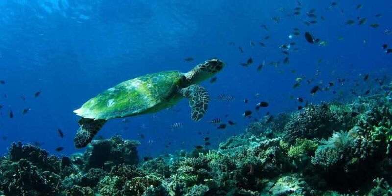 bali-padangbai-blue-lagoon-scuba-diving