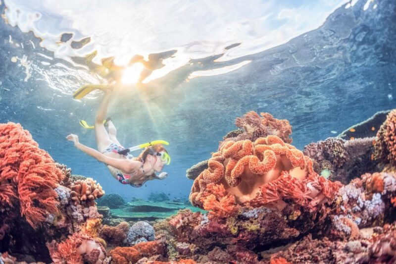 bali-padangbai-blue-lagoon-snorkeling-day-trip