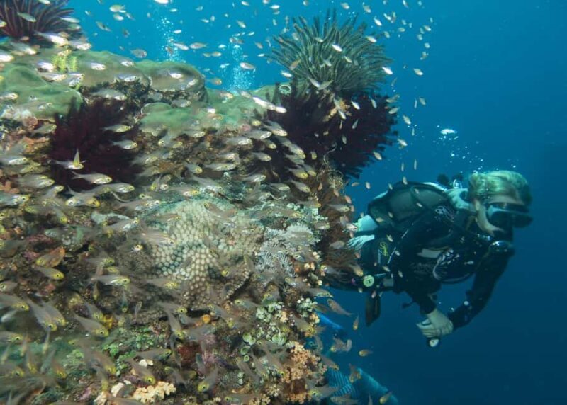 Bali: Padangbai PADI Discover Scuba Diving with 2 Dives - Frequently Asked Questions