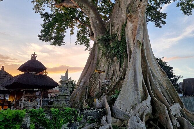 Bali Palm Reading with Jatiluwih Rice Terrace Walking Tour - FAQs