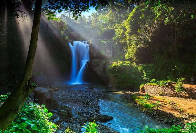 bali-pengelipuran-village-rice-terrace-waterfall-tour
