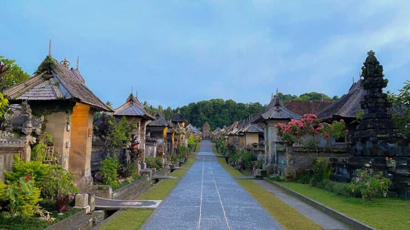 Bali: Penglipuran Village, Rice Terrace & Waterfall Tour - Who Will Love This Tour?