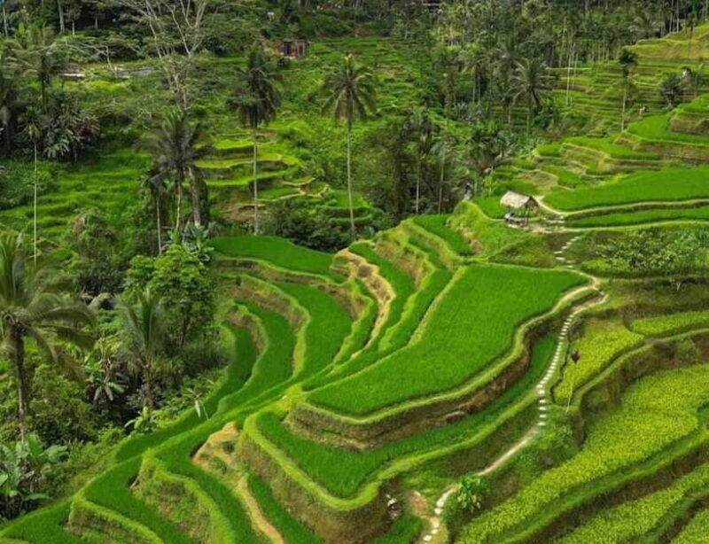 Bali: Penglipuran Village, Rice Terrace & Waterfall Tour - FAQ
