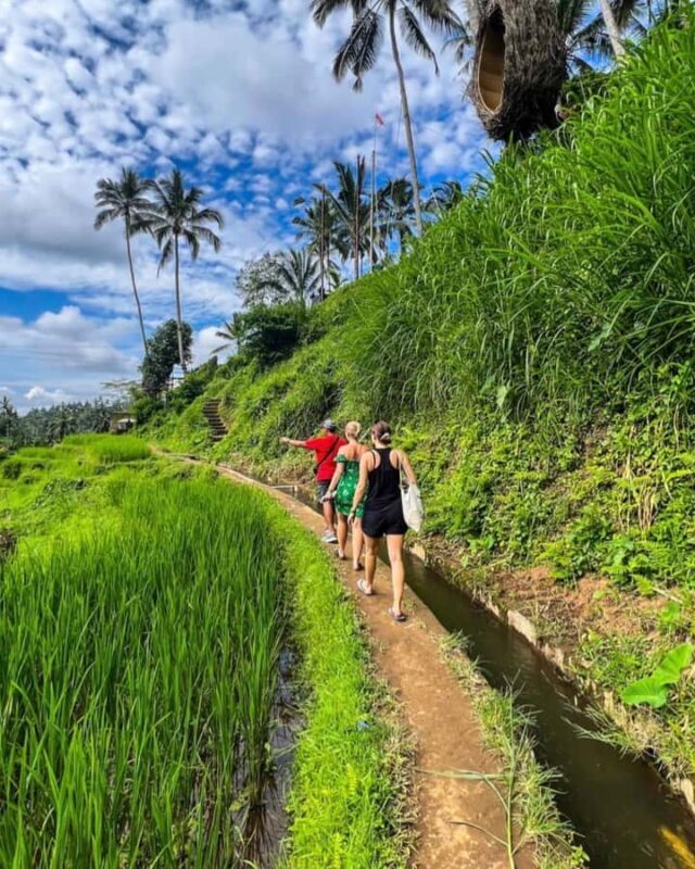 Bali Personal Design - Customized Tour - Real Experiences and Insights from Travelers