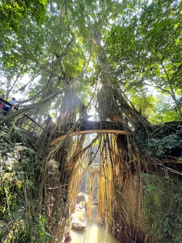 Bali Personal Design - Customized Tour - FAQ