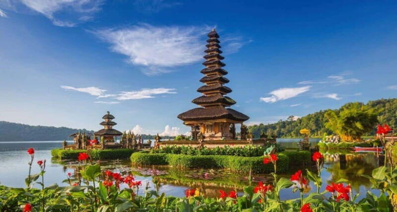 bali-picnic-with-alpacas-donkeys-and-temple-tour