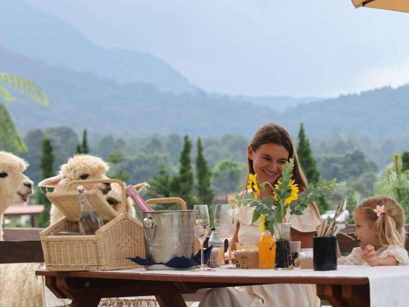bali-picnic-with-alpacas-donkeys-and-temple-tour