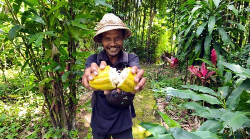 Bali: Pinge Village Tour: School Visit, Cooking Class, Lunch - Introduction: The Charm of Pinge Village