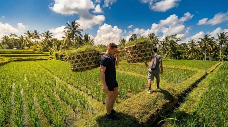 Bali: Pinge Village Tour: School Visit, Cooking Class, Lunch - The Sum Up
