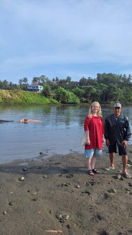 Bali: Pink Buffalo Adventure with Culinary Experience - Bali: Pink Buffalo Adventure with Culinary Experience — A Detailed Review