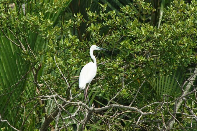 Bali: Point of Bliss massage with mangrove Kayaking and GWK Park - A Complete Look at the Tour Experience