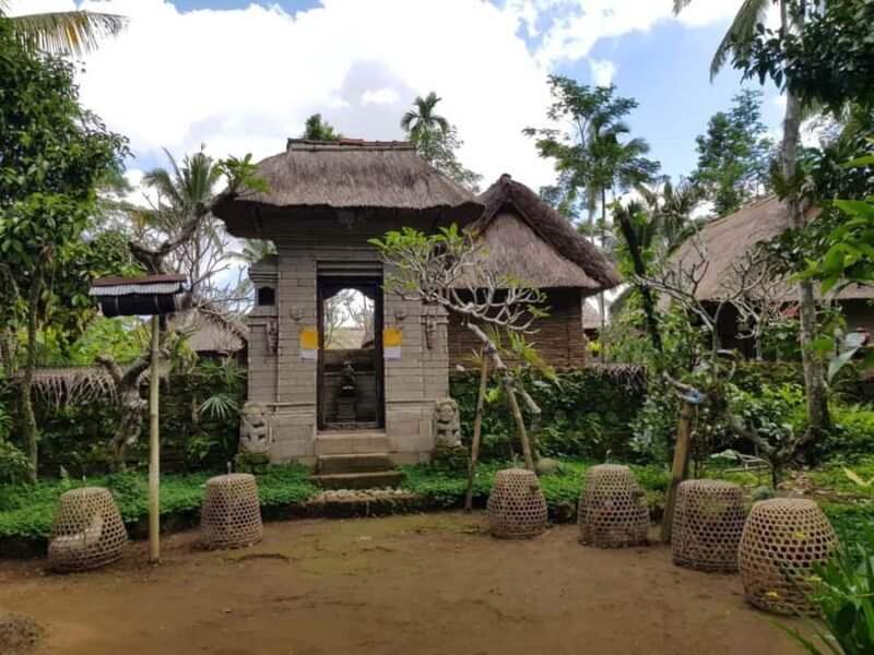 Bali: Private Balinese Home, Temple, and Waterfall Tour - Exploring Bali: Private Balinese Home, Temple, and Waterfall Tour