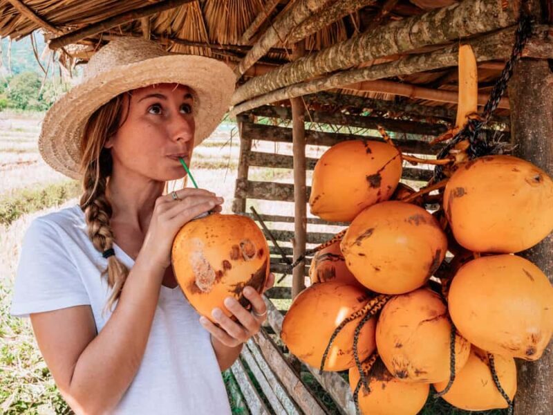 Bali: Private Balinese Home, Temple, and Waterfall Tour - The Practicalities: What You Need to Know