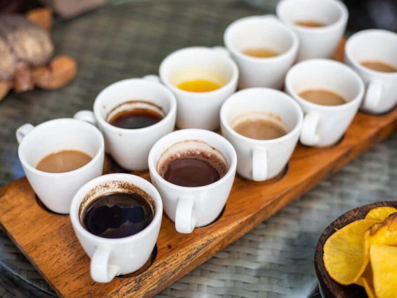 Bali: Private Balinese Home, Temple, and Waterfall Tour - Final Thoughts: Who Will Love This Tour?