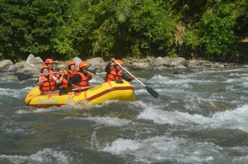 Bali: Private Boat White Water Rafting & Lunch - Why Choose This Tour?