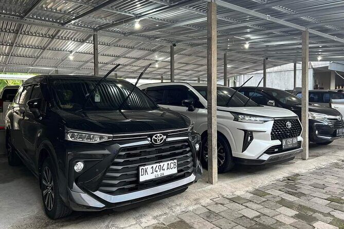 Bali Private Car Charter & Customize Tour With Driver English Speaking-Free WiFi - How This Tour Works