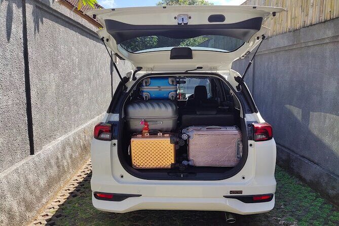 Bali Private Car Charter & Customize Tour With Driver English Speaking-Free WiFi - What We Loved About This Tour