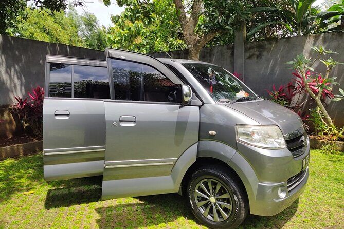 Bali Private Car Charter & Customize Tour With Driver English Speaking-Free WiFi - Who Is This Tour Best For?