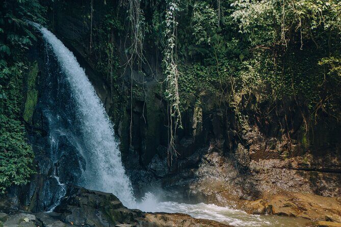 Bali Private Car Full Day Customized Tour With Drone Service - Final Thoughts