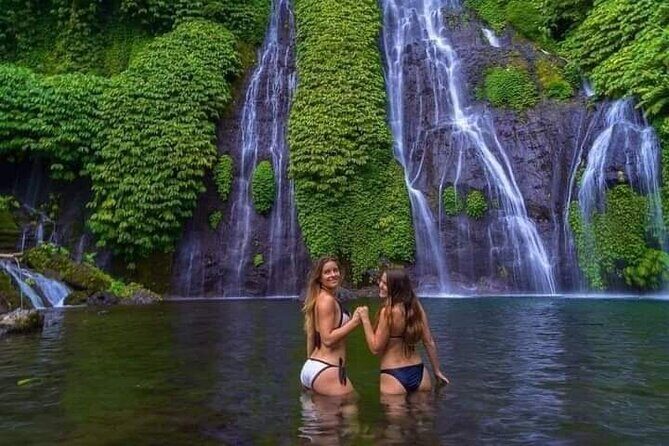 Bali Private Car Transport Experience - What Does the Tour Include?