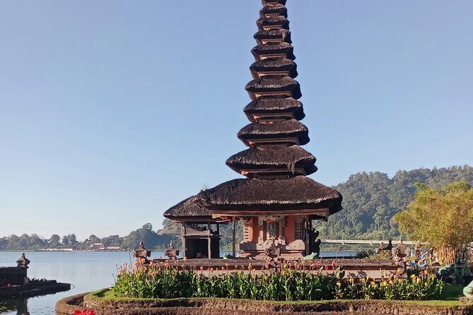 Bali Private Car Transport Experience - The Experience of the Drive