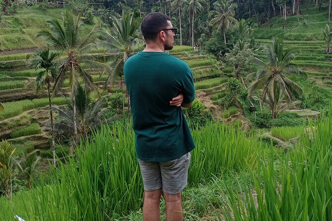 Bali Private Car Transport Experience - Authentic Insights from Tour Reviewers