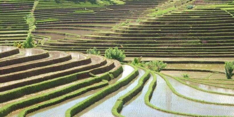 bali-private-custom-tour-with-a-local-guide