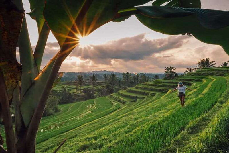 bali-private-custom-tours-with-chauffeur