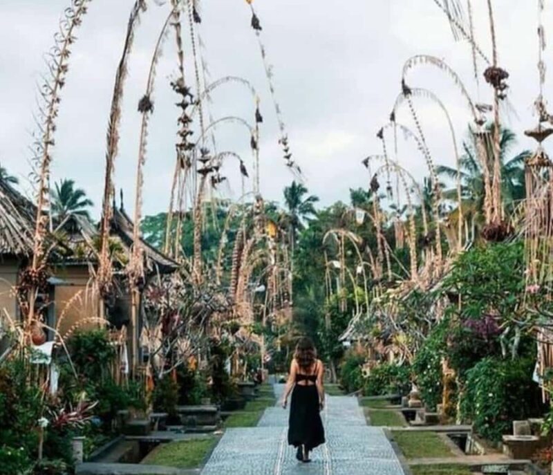 Bali: Private Day Trip to Waterfall & Traditional Village - Key Points