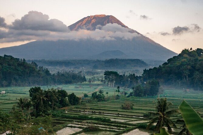 Bali Private Driver For Tour in Bali - Key Points