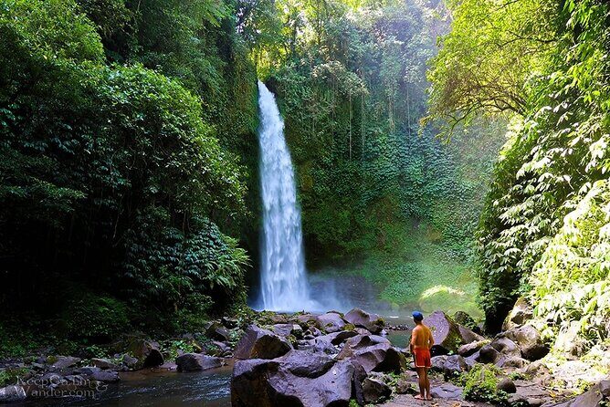 Bali Private Driver For Tour in Bali - The Experience Breakdown: What’s Included and What’s Not