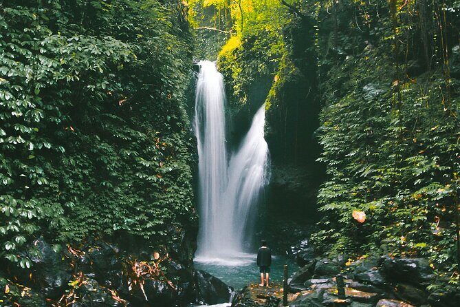 Bali : Private Fullday trip, Discover North Bali Destination - FAQ