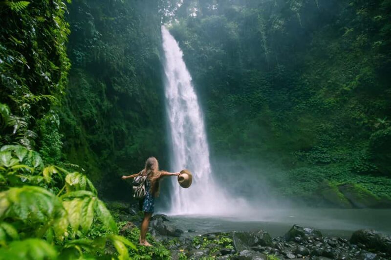 Bali: Private Jungle Swing, Waterfall & Rice Paddy Tour - In-Depth Look at Each Stop