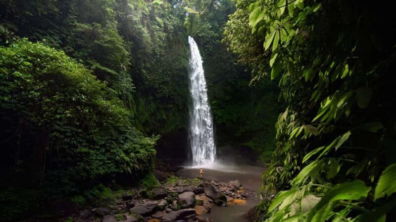 Bali: Private Jungle Swing, Waterfall & Rice Paddy Tour - The Sum Up
