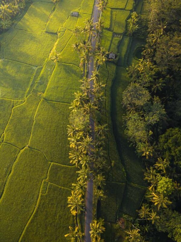Bali: Private Kudungu Beach and Rice Field Horseback Ride - Who Will Love This Experience?