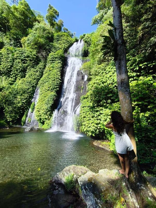 Bali: Private North Bali Tour with Lunch & Waterfall - Key Points