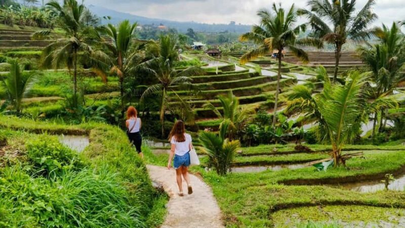 Bali: Private North Bali Tour with Lunch & Waterfall - A Deep Dive Into the North Bali Private Tour