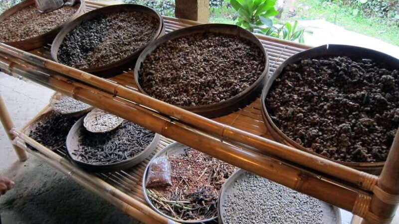 bali-private-palm-reading-water-temple-rice-terrace
