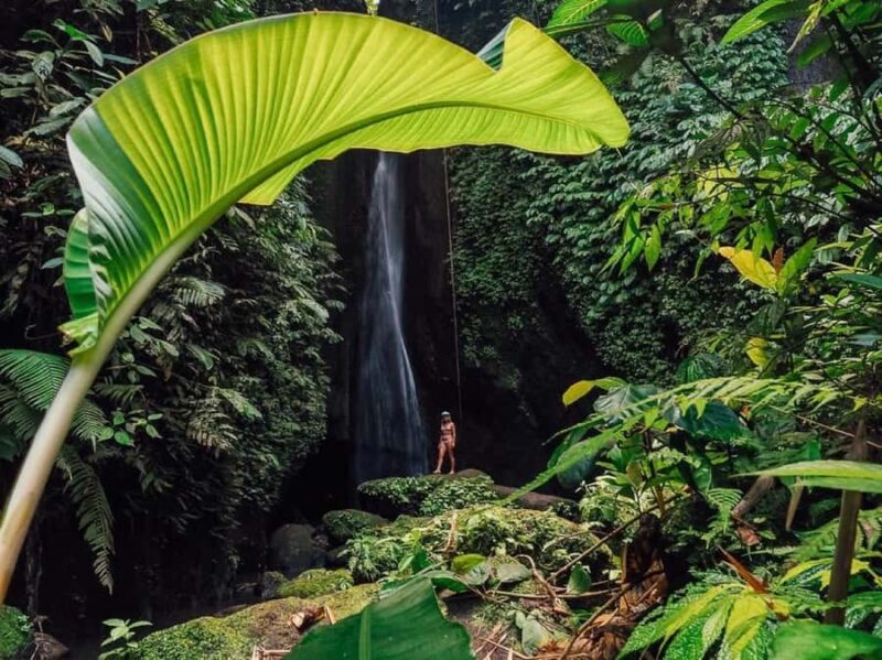 Bali: Private Sangeh Monkey Forest, Temple & Waterfall Tour - Why Choose This Tour? An In-depth Look